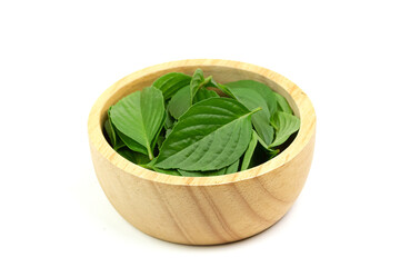 sweet basil leaf in wooden bowl isolated on white background