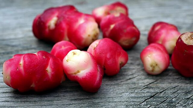 New Zealand yam (Oxalis tuberosa), also called uqa or oca. This exotic, bright red root is a food used in the Andes