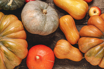 Autumn harvest of pumpkins and apples on wooden board