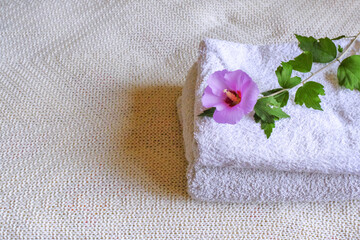 White towels with pink flower on top close-up across white fabric background. Copy space. Beauty, spa, relaxation, laundry concept