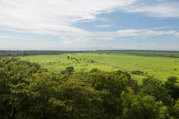 Fototapeta na wymiar Bekol is a savanna in Baluran National Park, a place where visitors can see wildlife.