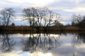 river and autumn trees