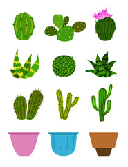 Set of cactus plants