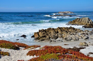 Monterey Peninsula near Pebble Beach in California, coast view towards the Pacific ocean, rocky coast and multicolored plants on white sand, wavy sea, near Highway 1 (California State Route 1)