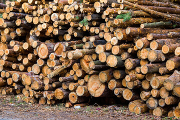 stack of firewood