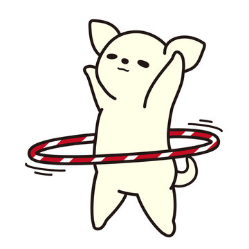 フラフープをするチワワ