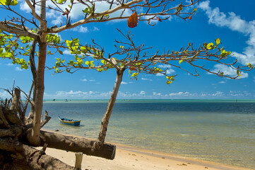 Praia de Cumuruxatiba, Bahia