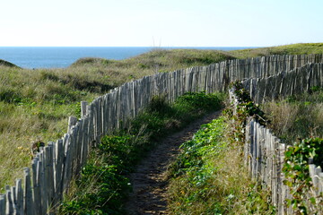 Fototapeta na wymiar A small path to the ocean shore. Batz sur mer during a sunny day of november.