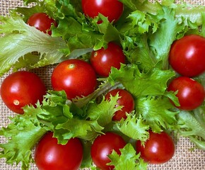 Fresh tomatoes and lettuce.  Background from fresh ripe vegetables, red tomatoes, green cucumbers and lettuce leaves.  Top view, flat lay.