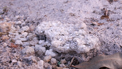 Close up of rocks on the ground