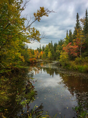 Quebec province, Canada, Sept 2019, view of the Lac Delage shore surrounded by a lush vegetation