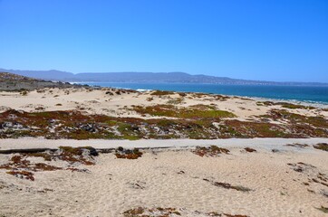 Coast view towards the city of Monterey in California, footpath on the beach, Pacific ocean 