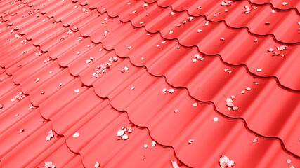 Fototapeta premium Red tile modern modular roof texture for background or design