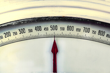 Scales display.Libra