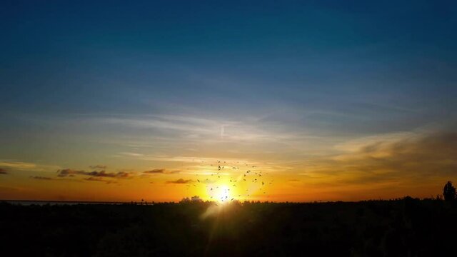 Sunset Sky with Horizon and Bird Flock Silhouette