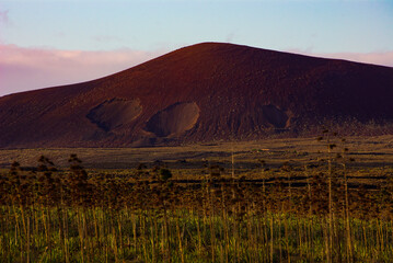Black sand volcano on the island of Fuerteventura, surrounded by vegetation.