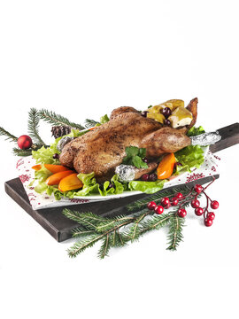 food photography of Christmas and Thanksgiving oven baked duck with apple side view served in a festive version with fir branches on a white background isolated close up