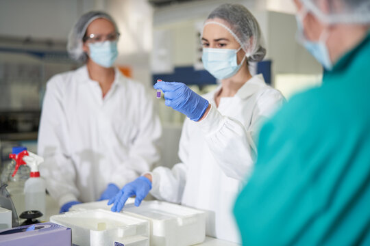 Female scientists in protective workwear examining specimen
