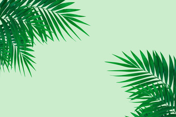 Naklejka na ściany i meble Freshness. Exotic green tropical palm leaves isolated on light background. Design for invitation cards, flyers. Abstract design templates for posters, covers, wallpapers with copyspace for text.