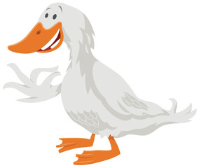 duck bird cartoon farm animal character