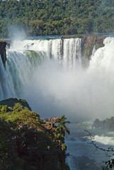 Fototapeta premium Iguazu Falls between Brazil, Argentina and Paraguay