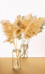Dry fluffy twigs of common reed or pampas grass in a glass hand-made vase on a white background. Abstract, floral background, minimal and eco-friendly concept