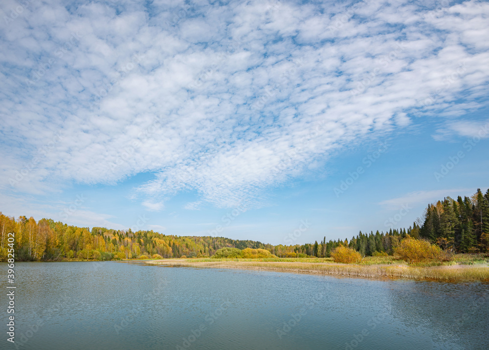 Wall mural autumn forest trees are reflected in the river water of the panoramic landscape. blue sky with cloud