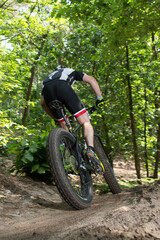 Fototapeta na wymiar Mountainbiker on a fatbike seen from behind on a single track in the forest