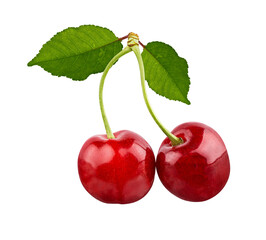 Cherry isolated on white background with clipping path