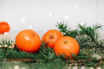 Clementines on a spruce branch against the background of a Christmas garland.