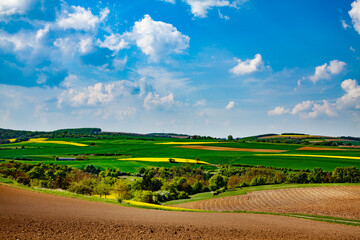 Wide panorama landscape view of a rural area with meadows and wheat field in Germany