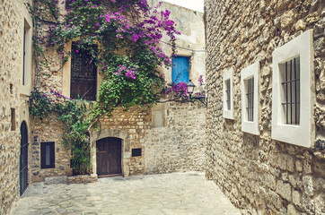 Old street with flowers on the wall in Ibiza, Spain