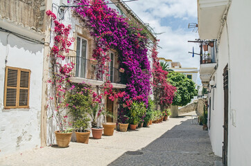 Old street with flowers on the wall in Ibiza, Spain