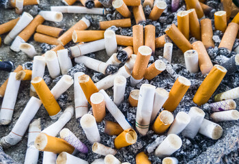 The many cigarette butts in the ashtray.
