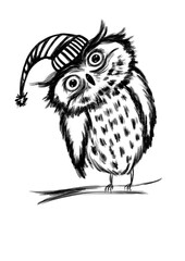 A close up of a bird. Owl.