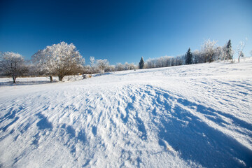 Fototapeta na wymiar Winter landscape in dolnoslaskie region, Poland