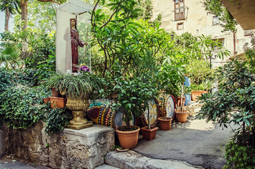 Fototapeta na wymiar Blossoming little garden in Palermo, Italy