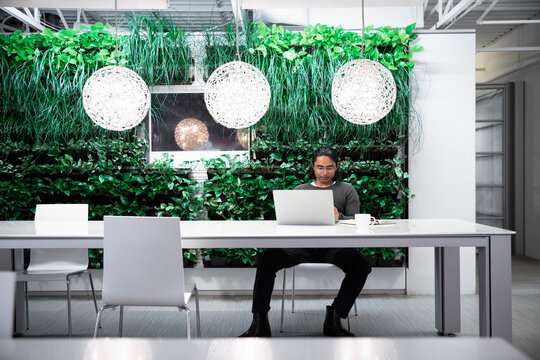 Man with laptop by green wall in modern office