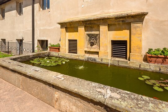 Opocno, Czech Republic - June 16 2020: View of the yellow classicistic, rectangle shaped,  fountain with lion head spurting out water into a basin with green water lily leaves. Sunny summer day.