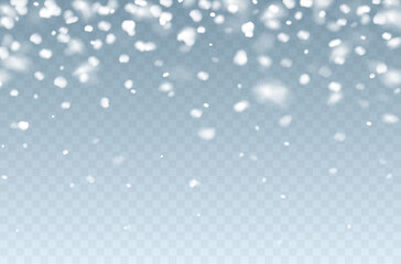 Snow flakes falling isolated on transparent background. Vector Christmas snowfall overlay texture, white snowflakes flying in winter air