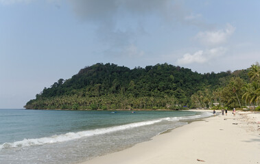 Coconut palms on the paradise coconut island