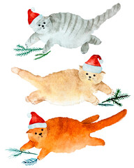 set of  cute fat watercolor cats with christmas hat