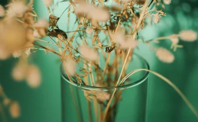 Dried wildflowers bouquet in transparent vase. Turquoise background. Wabi sabi trend. Home coziness  © Alona