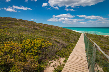 Fototapeta premium Wooden footpath leading to beach at De Hoop nature Reserve, South Africa.