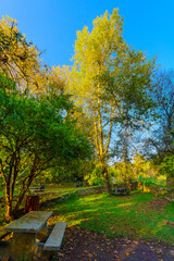 Picnic area with fall foliage, in En Hemed National Park