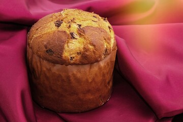 freshly made christmas panettone, food