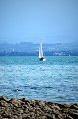 Segeln am Bodensee