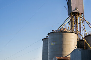 Silos plant for the storage and drying of cereal