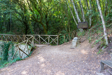 geographical center of italy located in narni