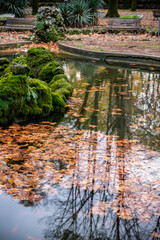 reflections on the fountain  in the center city